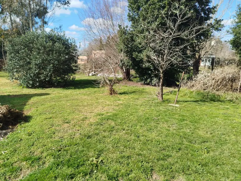 Foto 13