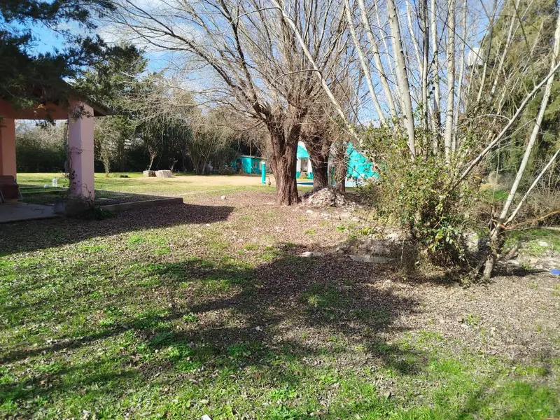 Foto 4