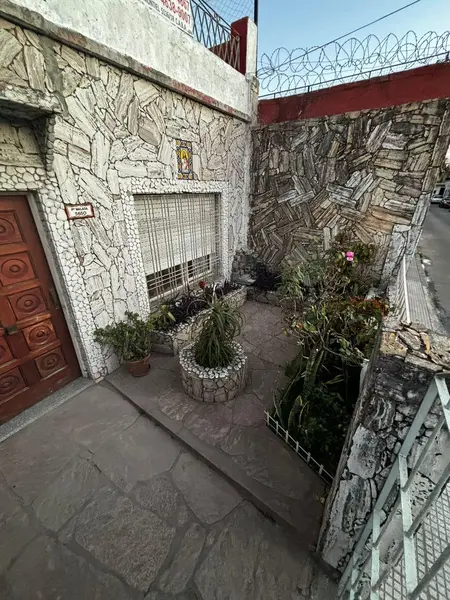 Foto 7