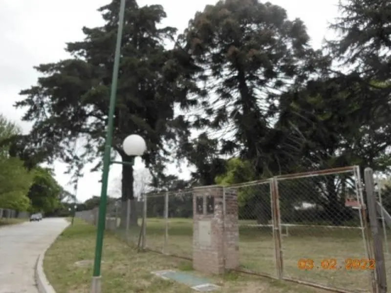 Foto 7