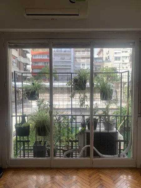 Foto 6