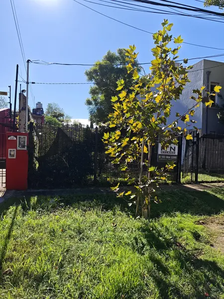 Foto 22