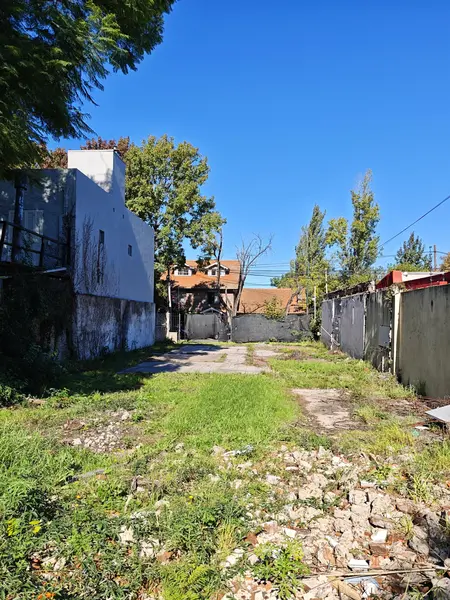 Foto 15