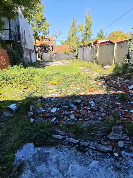 Foto 12