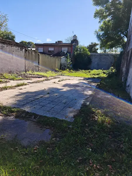 Foto 7
