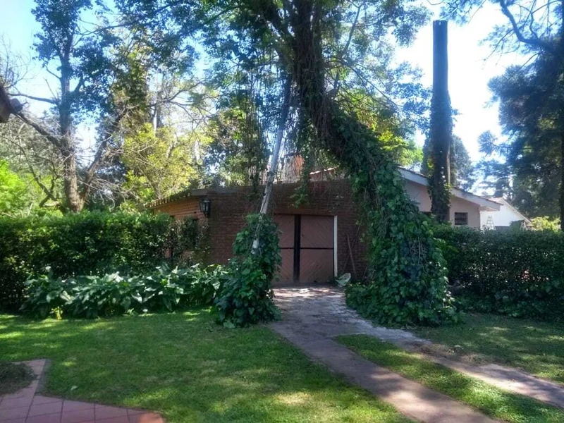 Foto 5