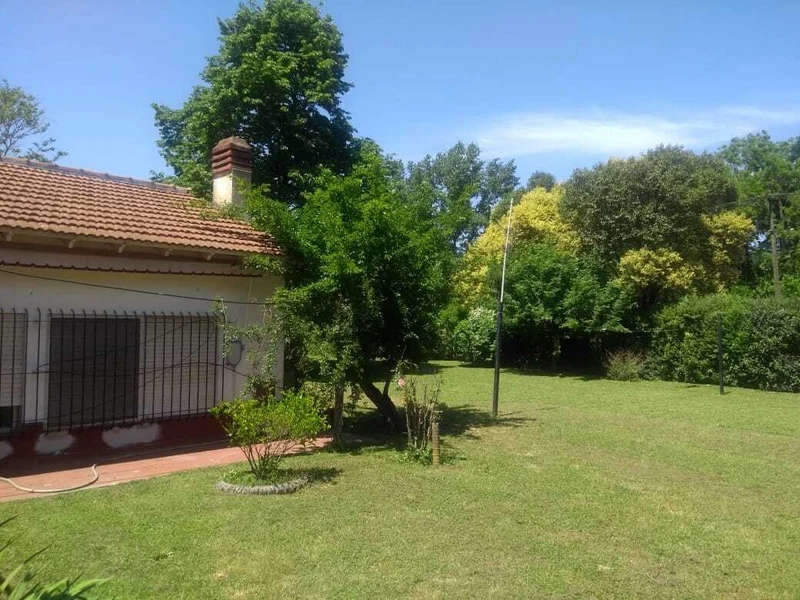 Foto 6