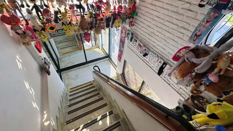 Foto 12