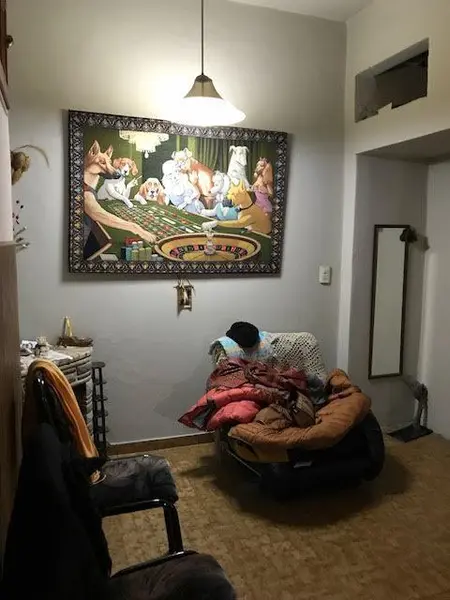 Foto 7