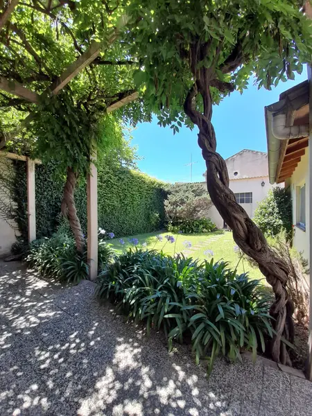 Foto 23