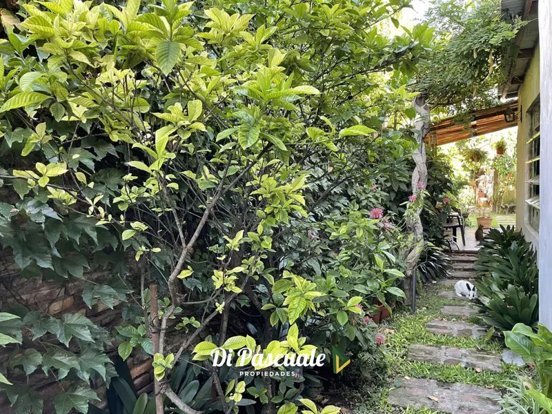 Foto 14
