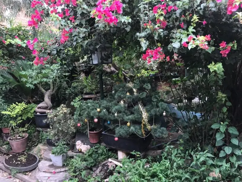 Foto 21