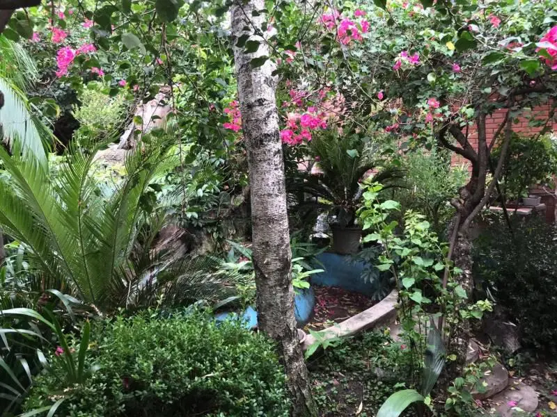 Foto 19