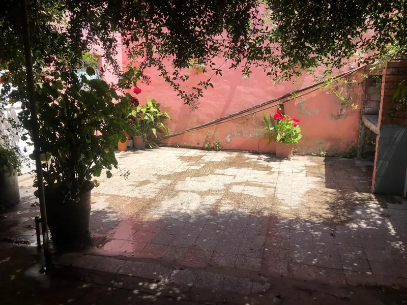 Foto 19