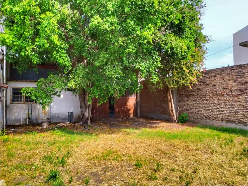 Foto 14