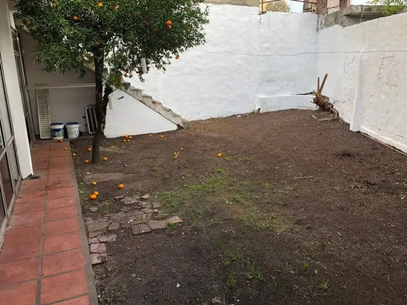 Foto 7