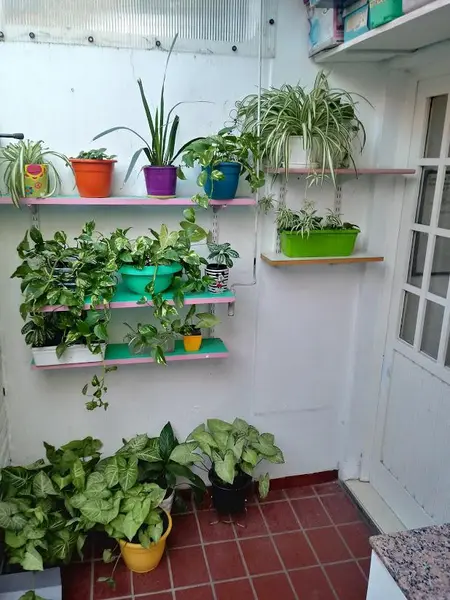 Foto 8