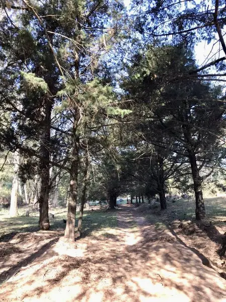 Foto 24