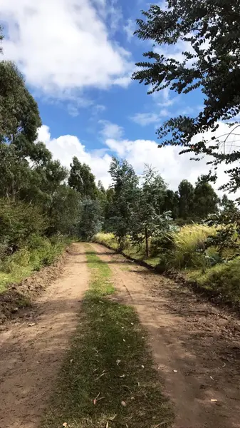 Terreno en venta · La Falda, Punilla, Córdoba