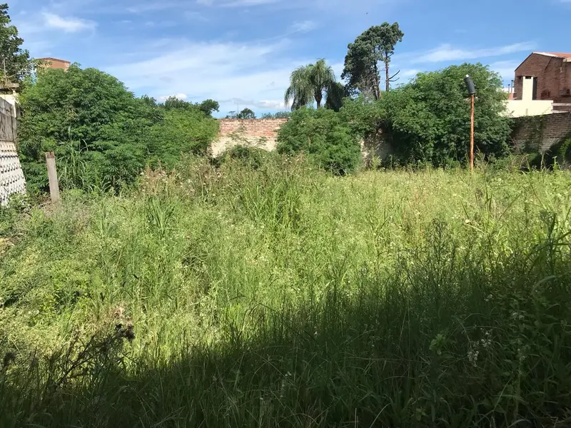 Foto 10