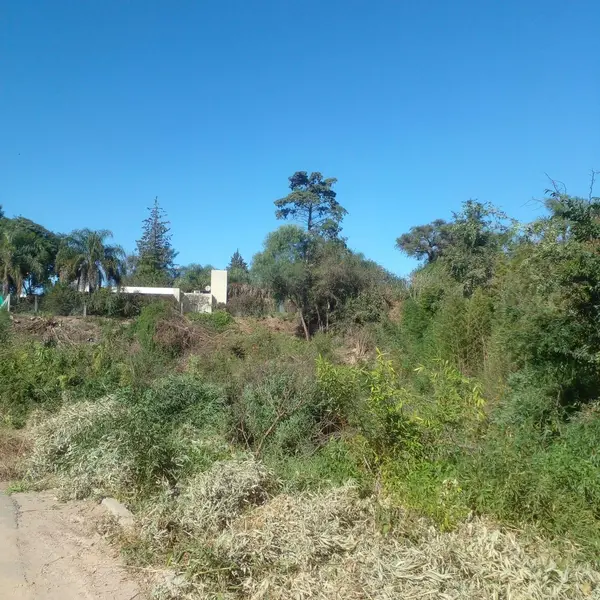 Foto 17