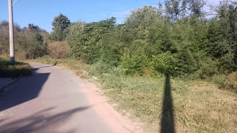 Foto 14