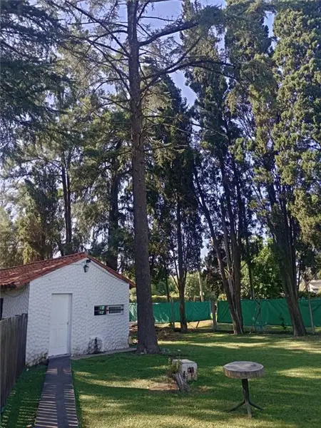 Foto 40