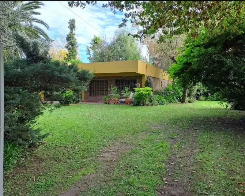 Foto 6