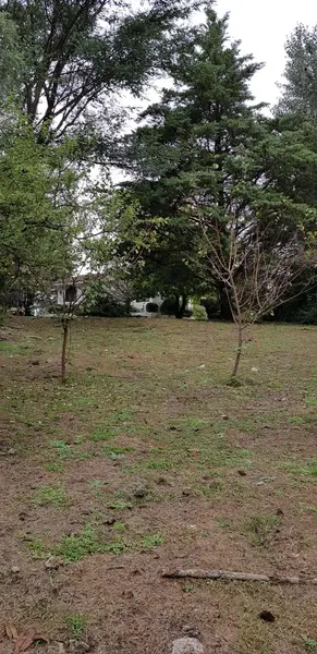 Foto 48