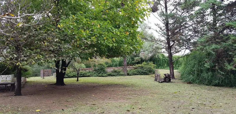 Foto 8
