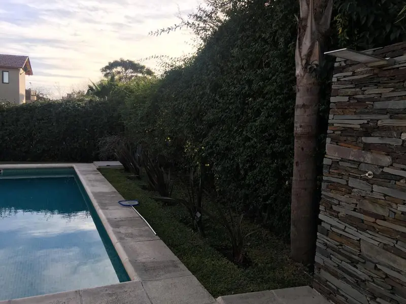 Foto 29