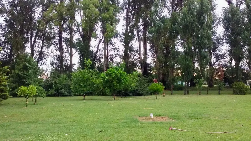 Foto 8
