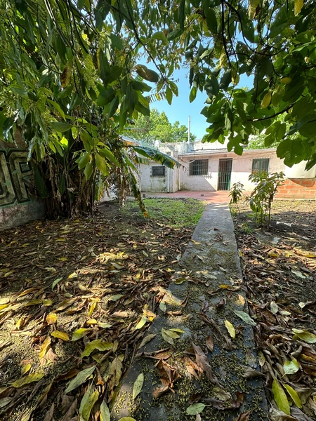 Foto 12
