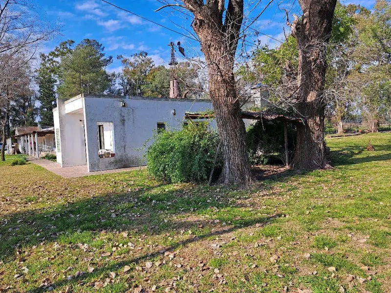Foto 15