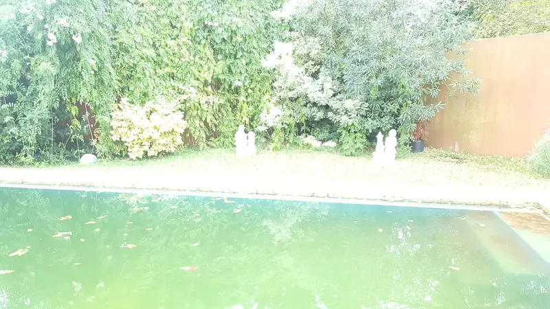 Foto 25