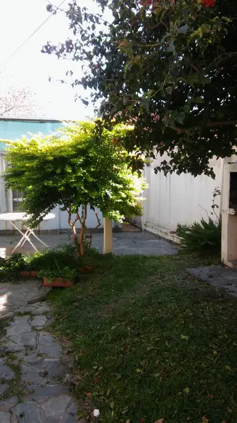 Foto 22
