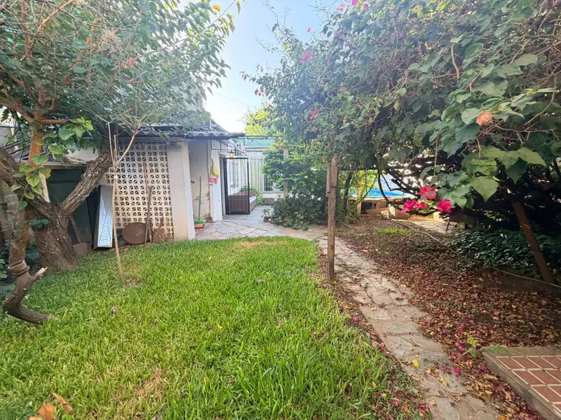 Foto 19