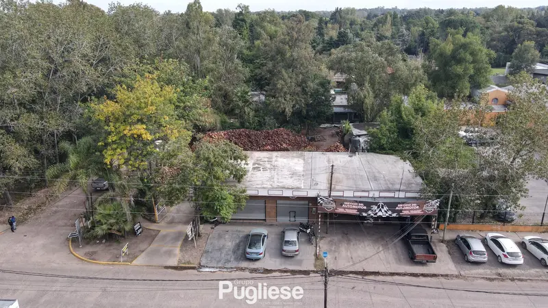 Foto 4