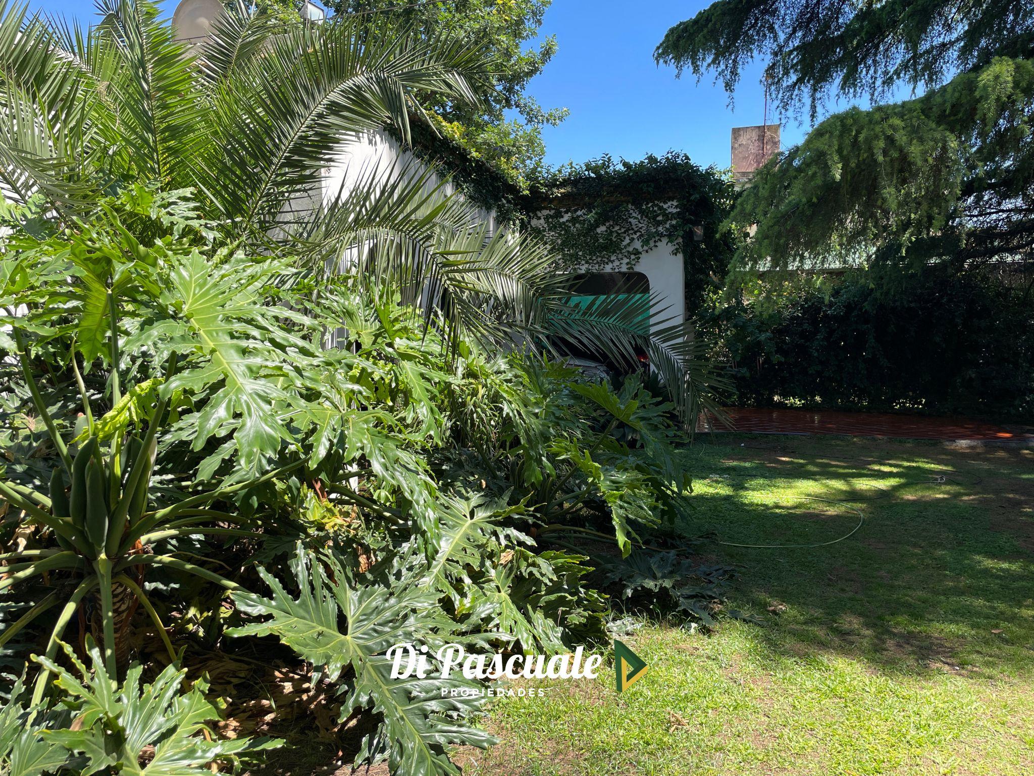 Foto 14