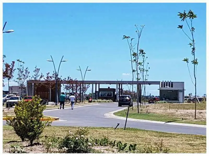 Foto 6