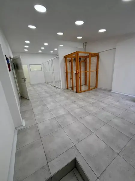 Foto 8