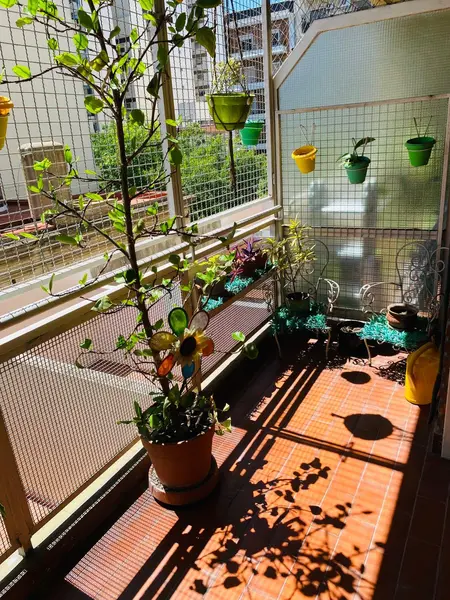 Foto 13