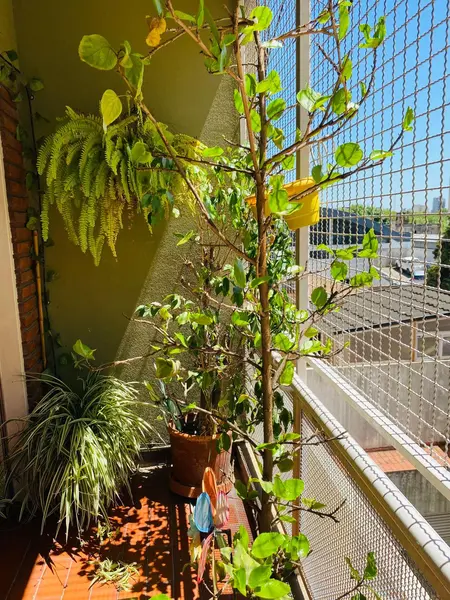 Foto 4