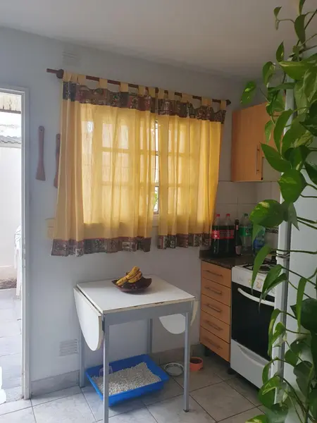 Foto 13