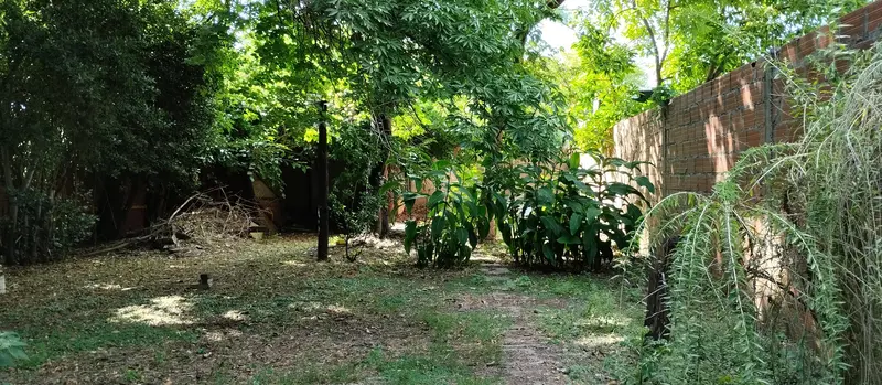 Foto 13