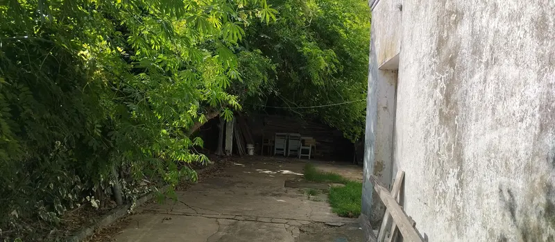 Foto 7