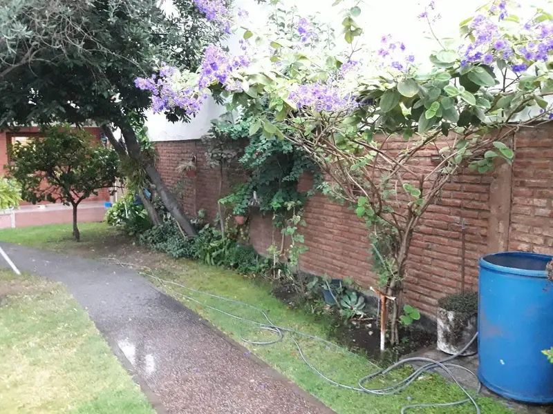 Foto 17