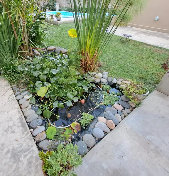Foto 5