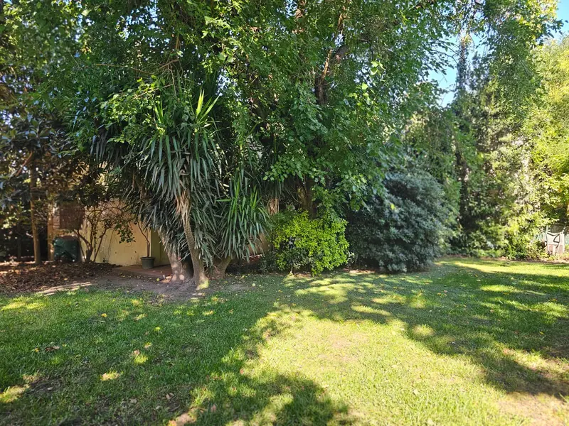 Foto 62