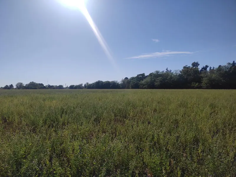 Terreno en venta · Agote, Mercedes, Interior de Buenos Aires, Provincia de Buenos Aires